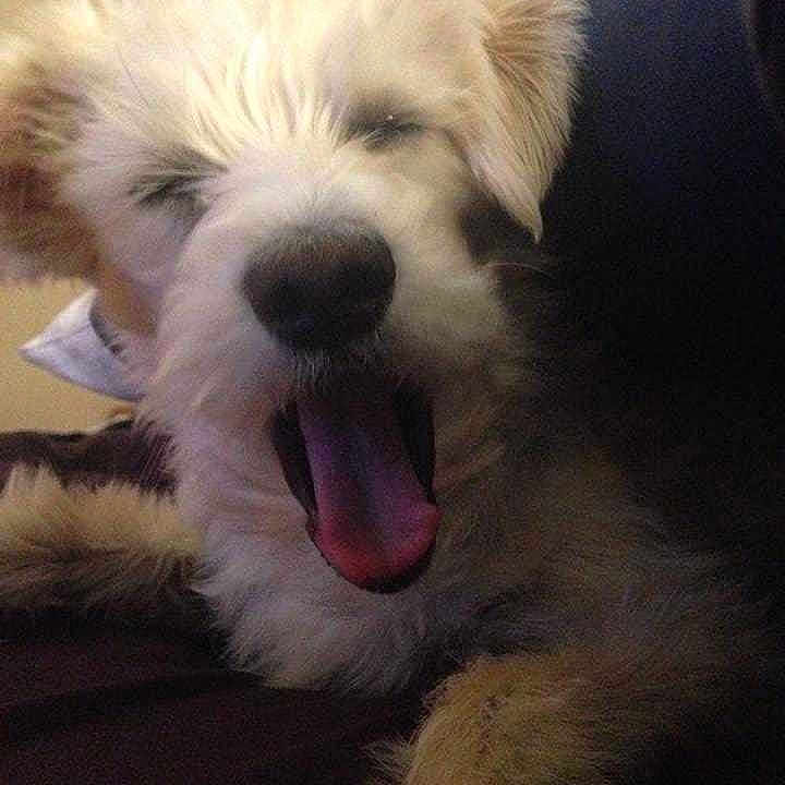 Blondie is registered to the contest to win money with this photo: