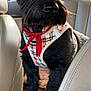 dog, black_dog, plaid_harness, red_bandana, car_interior, backseat, beige_seat, sunlight, pet, animal, fur, alert, window, leather_seat, collar, domestic_animal, transportation, vehicle, seat, canine