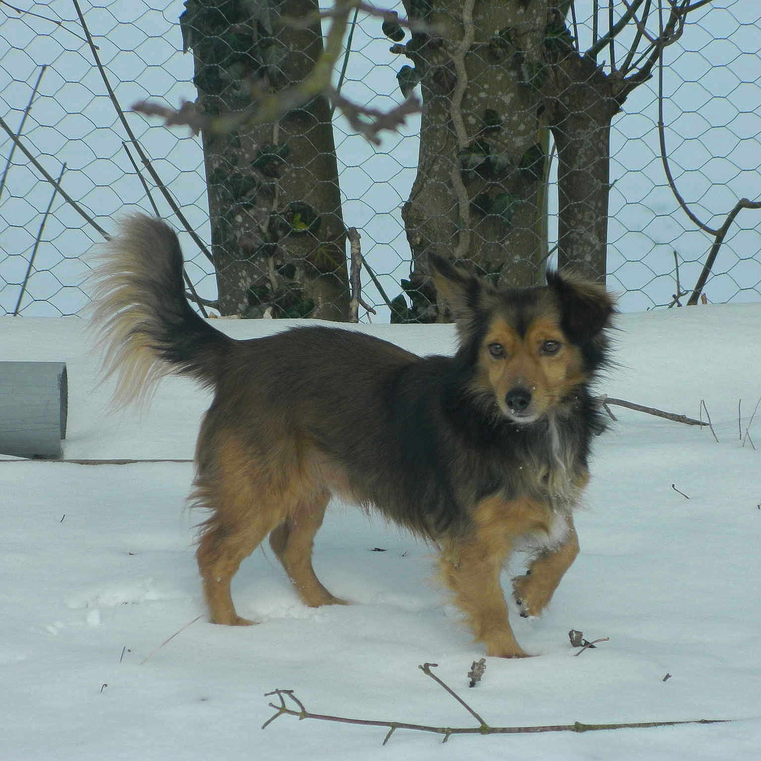 Eliott