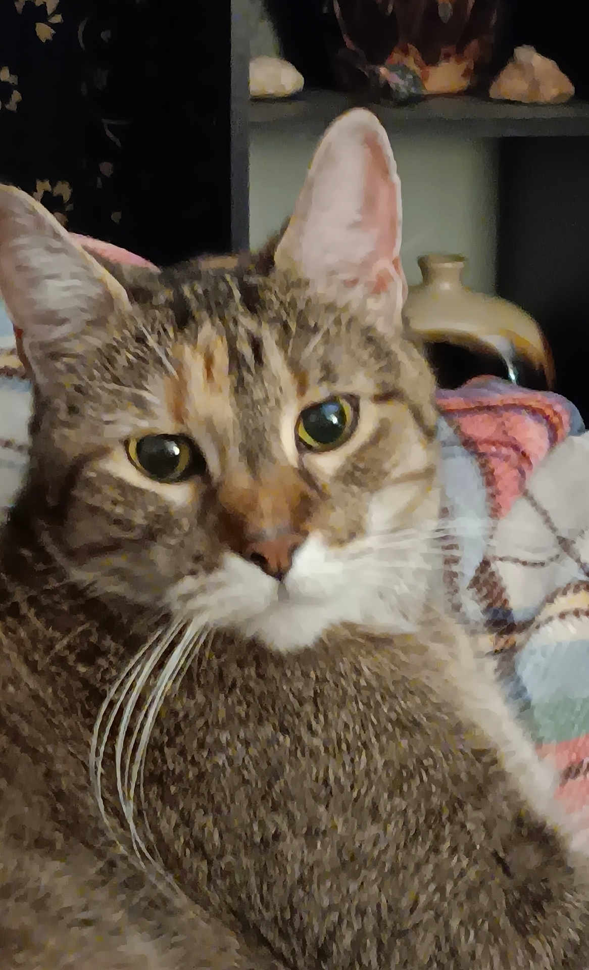 Sabina
