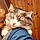 Ms. Kitty