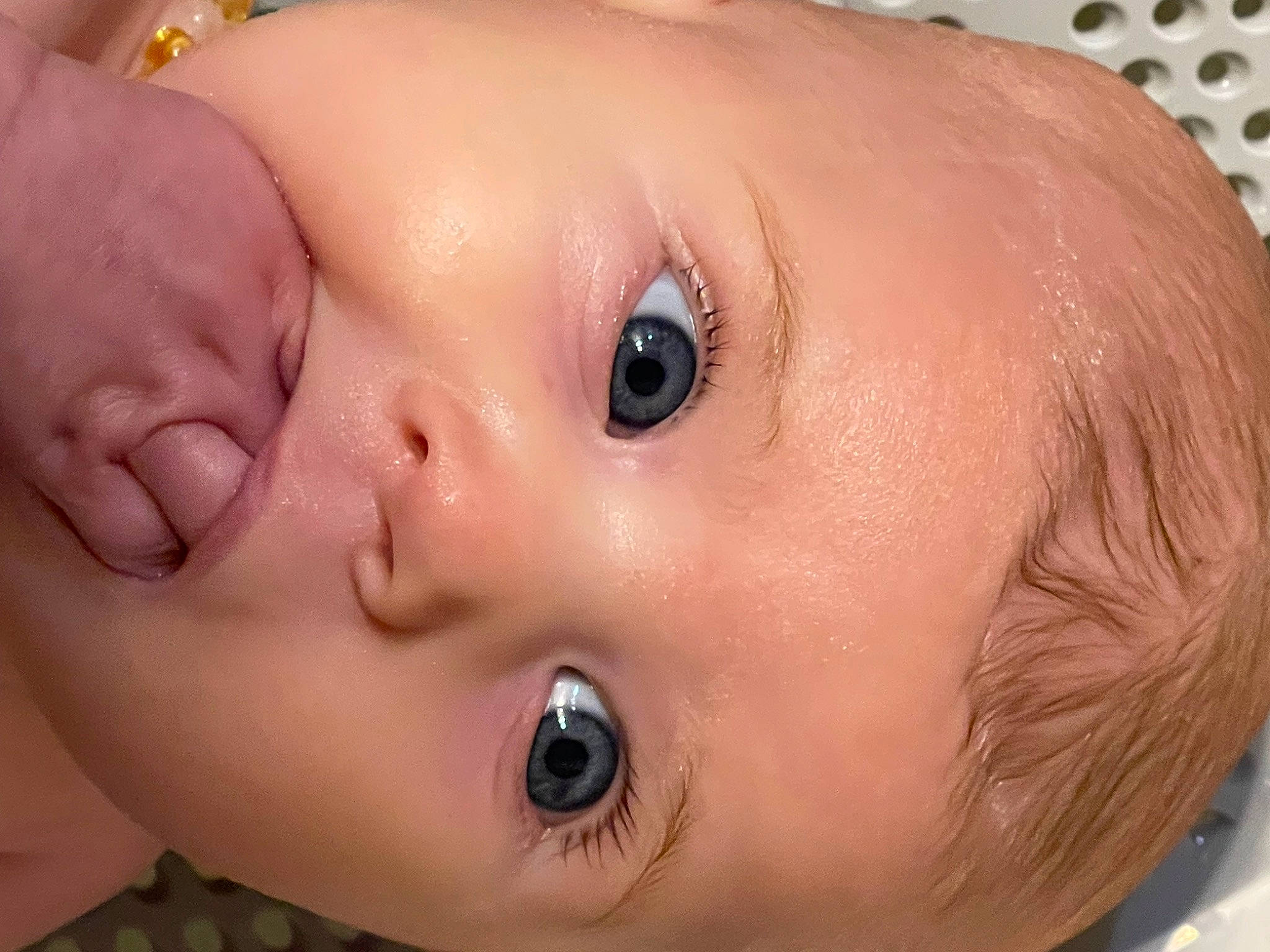 Juniper joined the competition — help win amazing prizes! baby, bathing, beauty, cheek, ear, eyebrow, eyelash, face, forehead, happy, headgear, iris, lip, mouth, muscle, neck, nose, person, skin, smile