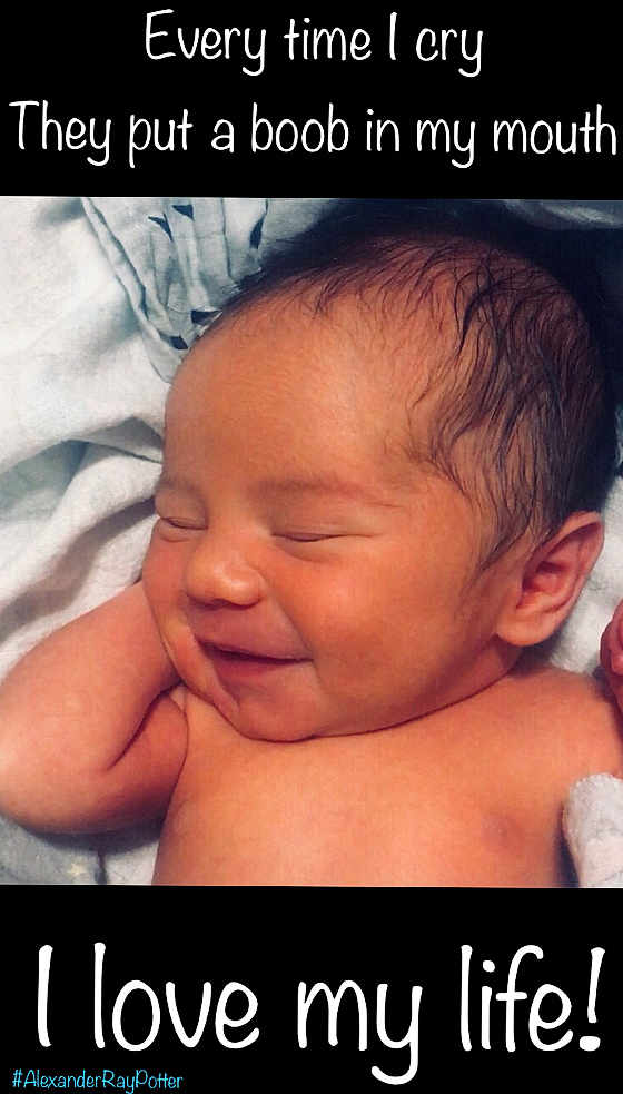 Alexander Ray Potter