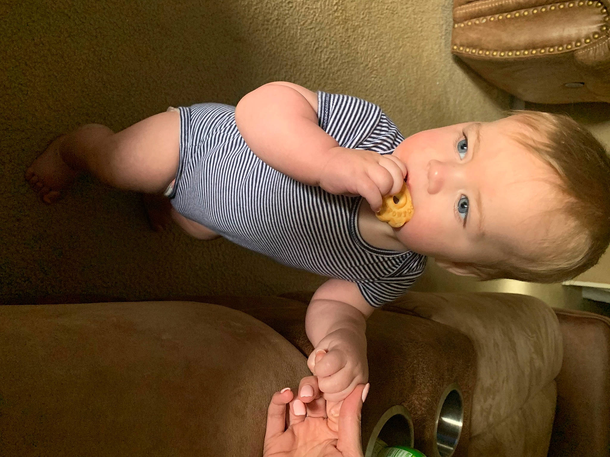 Lawson joined the competition — help win amazing prizes! baby, baby_toddler_clothing, cheek, comfort, ear, facial_expression, finger, gesture, hand, human_body, joint, leg, mouth, nail, nose, person, skin, thigh, thumb, toddler