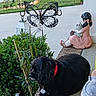 Perrita Gabby joined the competition — help win amazing prizes! dog, black_dog, porch, garden_statue, girl_statue, cat_statue, plant, bush, butterfly_wind_spinner, american_flag, sidewalk, concrete, shoe, collar, pet_tag, outdoor, daylight, decor, relaxing, suburb