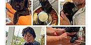 Perrita Gabby joined the competition — help win amazing prizes! affection, animal, bath, black_dog, collar, cute, dog, elderly_man, food_bowl, human_hand, indoor, kibble, love, outdoor, pet, pet_care, portrait, puppy, sink, woman