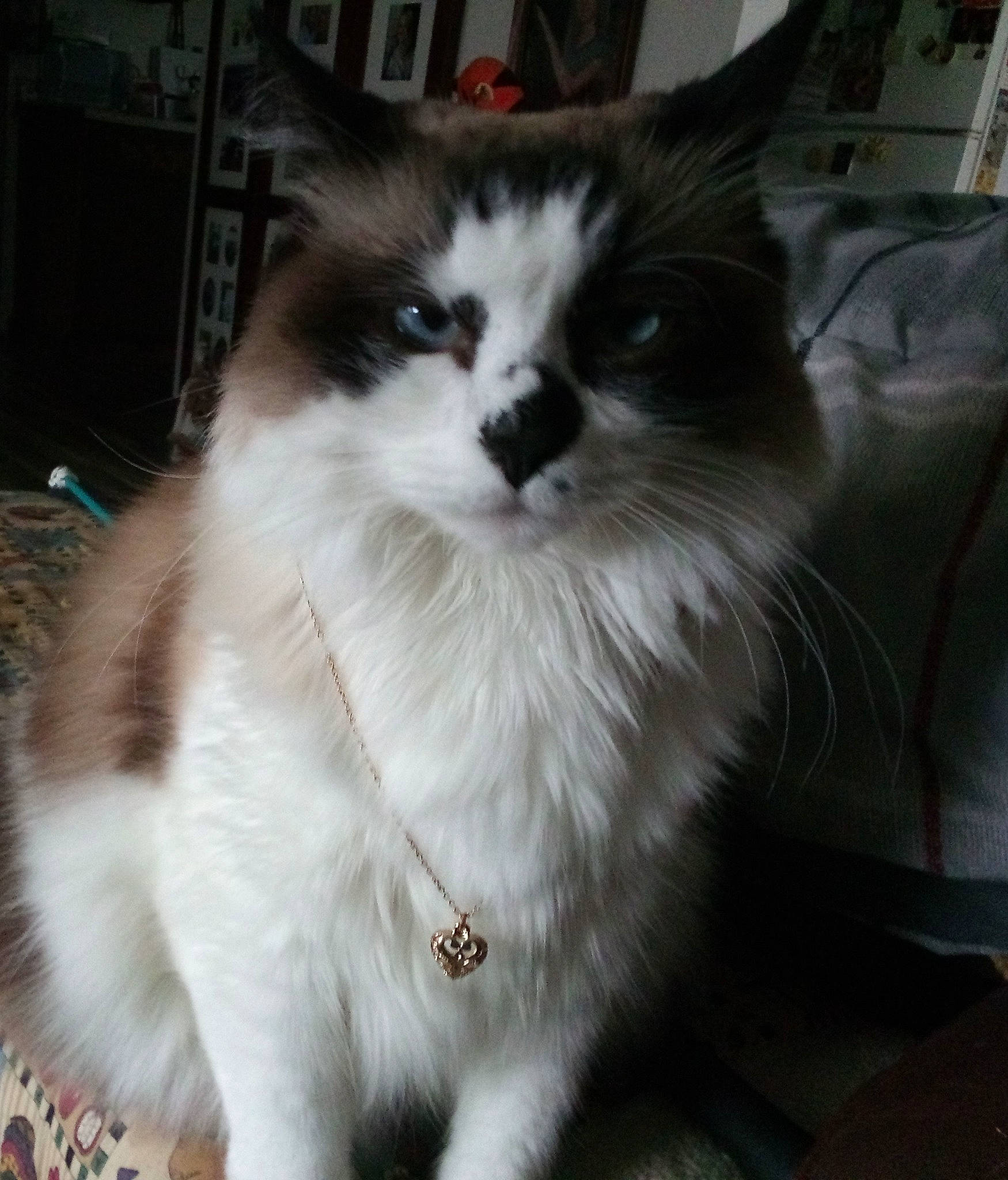 Sugar