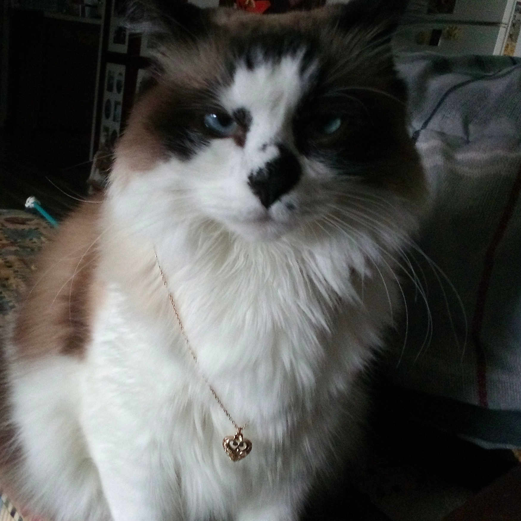 Sugar