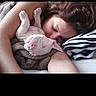 animal, bed, blanket, comfort, cozy, cute, dog, face, hair, indoors, person, pet, pillow, puppy, relaxing, resting, skin, sleeping, snuggling, warm
