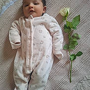 Léya a rejoint le concours — aidez-le/la à gagner de superbes lots ! baby, infant, onesie, pink_clothing, blanket, flower, rose, leaf, greenery, texture, lying_down, cute, peaceful, soft, indoors, portrait, face, newborn, sleepwear, resting