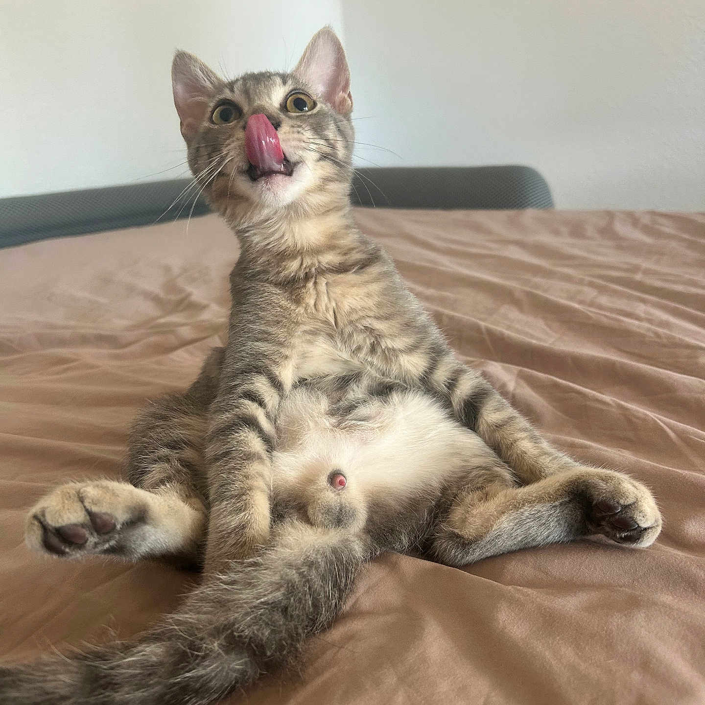 Simba