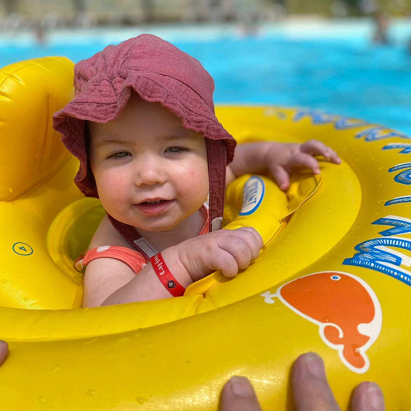 Charlie participe au concours pour gagner de l'argent avec cette photo : baby, child, cute, float, fun, hand, happy, hat, outdoor, person, playing, pool, red, summer, sunhat, swim_ring, swimming, toddler, water, yellow