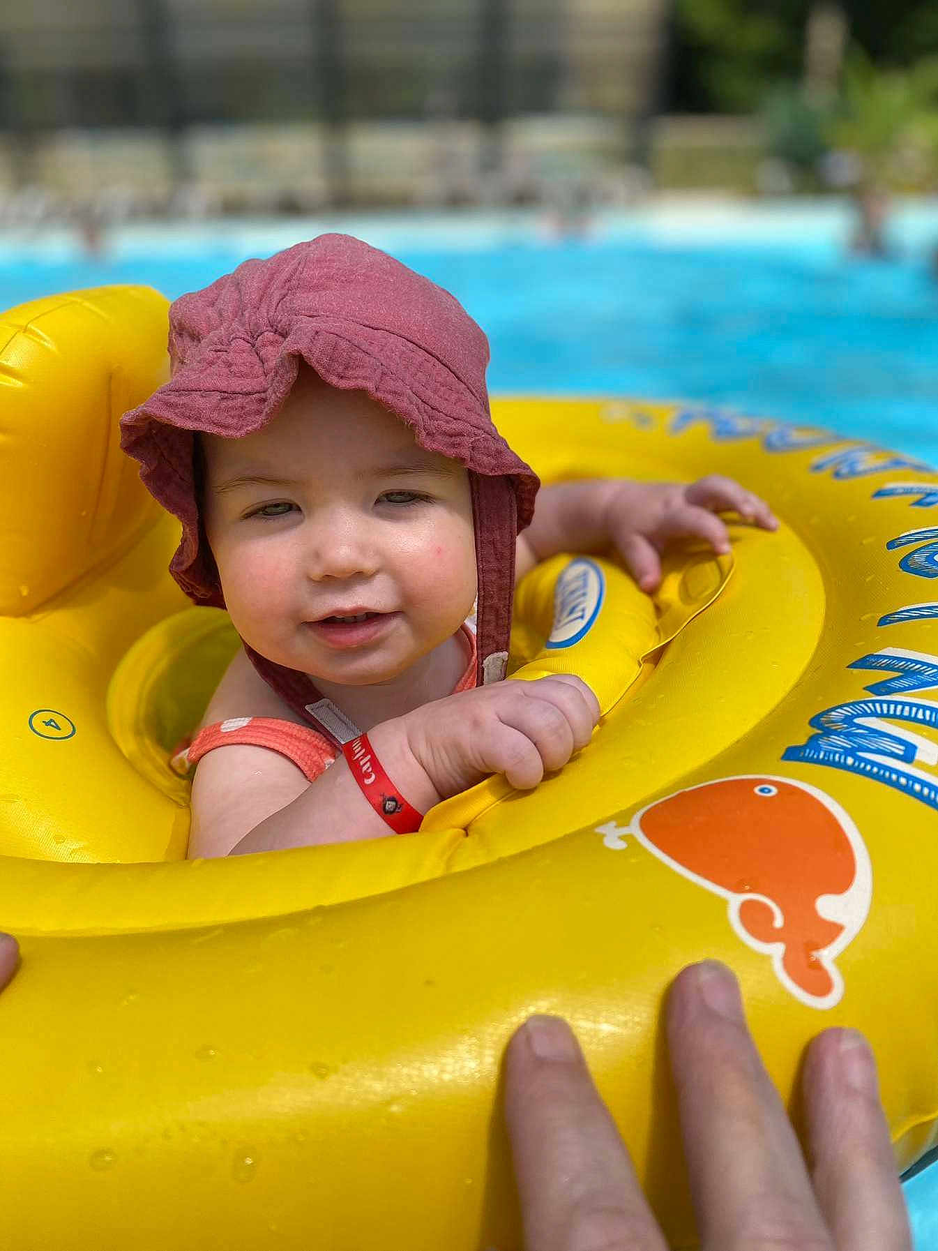 Charlie participe au concours pour gagner de l'argent avec cette photo : toddler, child, hat, swim_ring, pool, water, float, hand, yellow, red, outdoor, summer, baby, happy, playing, sunhat, swimming, cute, person, fun
