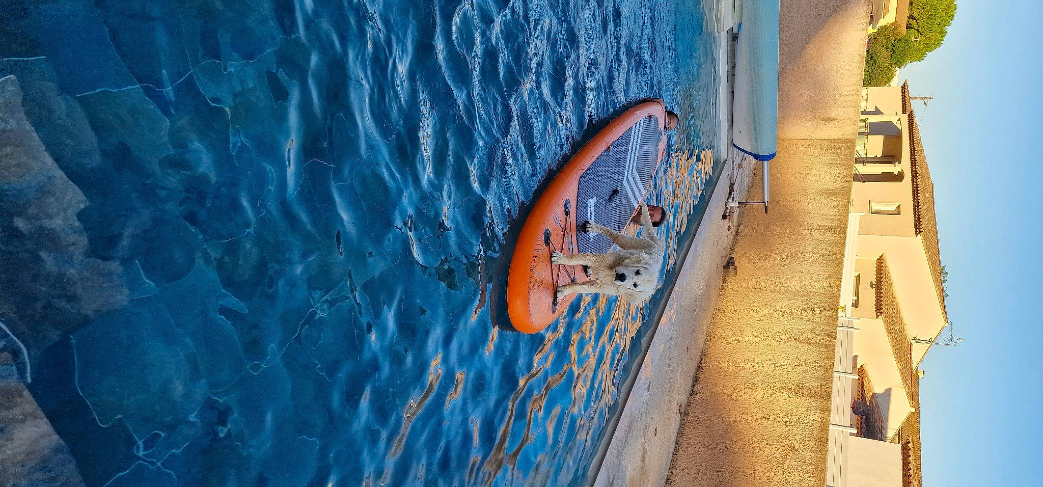 Topaze a rejoint le concours — aidez-le/la à gagner de superbes lots ! aqua, azure, boat, boats_and_boating_equipment_and_supplies, composite_material, electric_blue, engineering, fluid, fun, lake, leisure, lifebuoy, liquid, naval_architecture, ocean, recreation, ship, vehicle, water, water_transportation