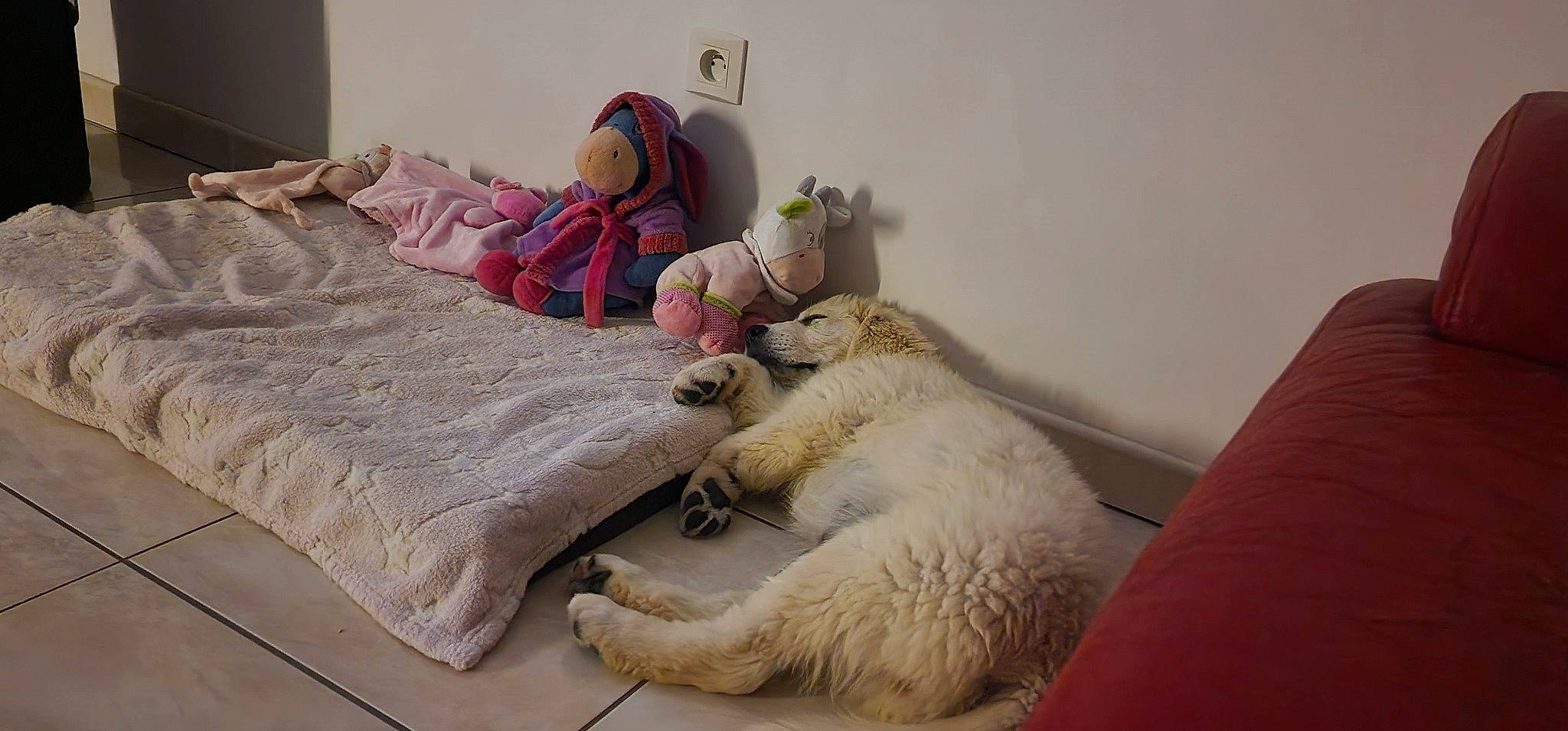 Topaze participe au concours pour gagner de l'argent avec cette photo : bed, bed_frame, bed_sheet, bedding, carnivore, comfort, companion_dog, felidae, flooring, fur, linens, room, small_to_medium_sized_cats, stuffed_toy, tail, teddy_bear, textile, toy, whiskers, wood