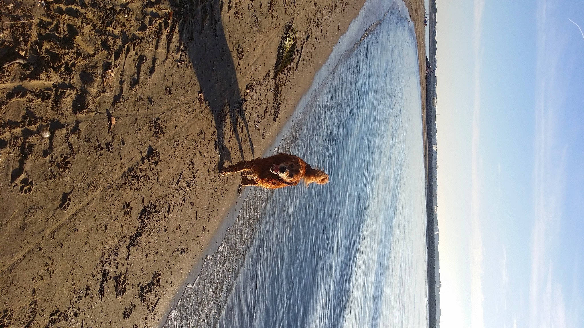 Daïko participe au concours pour gagner de l'argent avec cette photo : beach, boat, body_of_water, coast, dog, fluid, fun, lake, line, ocean, recreation, reflection, rock, shadow, sky, slope, water, wave, wind_wave, wood