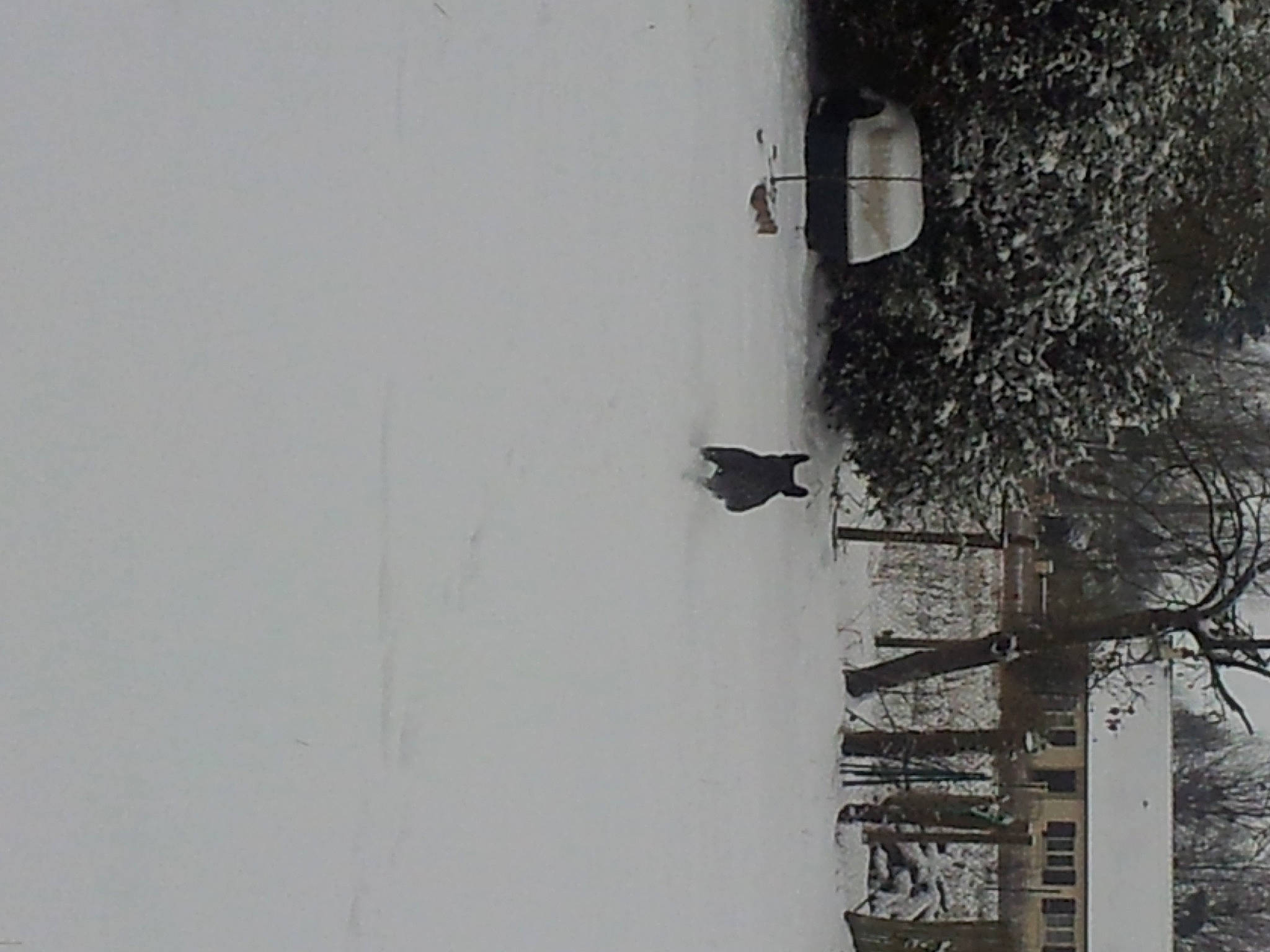Ulk participe au concours pour gagner de l'argent avec cette photo : door, facade, freezing, grey, house, monochrome, monochrome_photography, plant, reflection, room, shadow, sky, slope, snow, street_light, tints_and_shades, tree, window, winter, wood