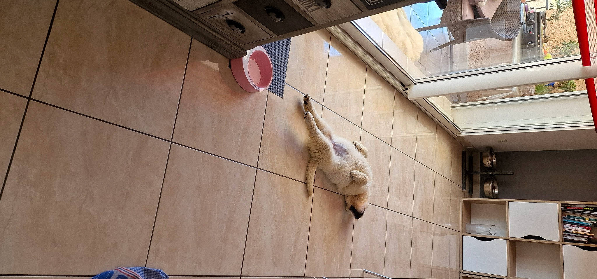 Topaze a rejoint le concours — aidez-le/la à gagner de superbes lots ! building, ceiling, concrete, daylighting, facade, fawn, floor, flooring, foot, glass, hardwood, house, plywood, room, tail, tile, window, wood