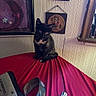 kitten, cat, black_cat, white_chest, animal, pet, sitting, indoors, bed, red_bedspread, portrait, looking_at_camera, pointed_ears, whiskers, feline, home, bedroom, wall_art, striped_wallpaper, cozy