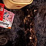 Sam is registered to the contest to win money with this photo: kitten, cat, tortoiseshell, sleeping, lying_down, fur, fluffy_blanket, indoor, pet, animal, black_fur, brown_fur, relaxed, cozy, nap, packaging, plastic_container, household_items, closeup, cute