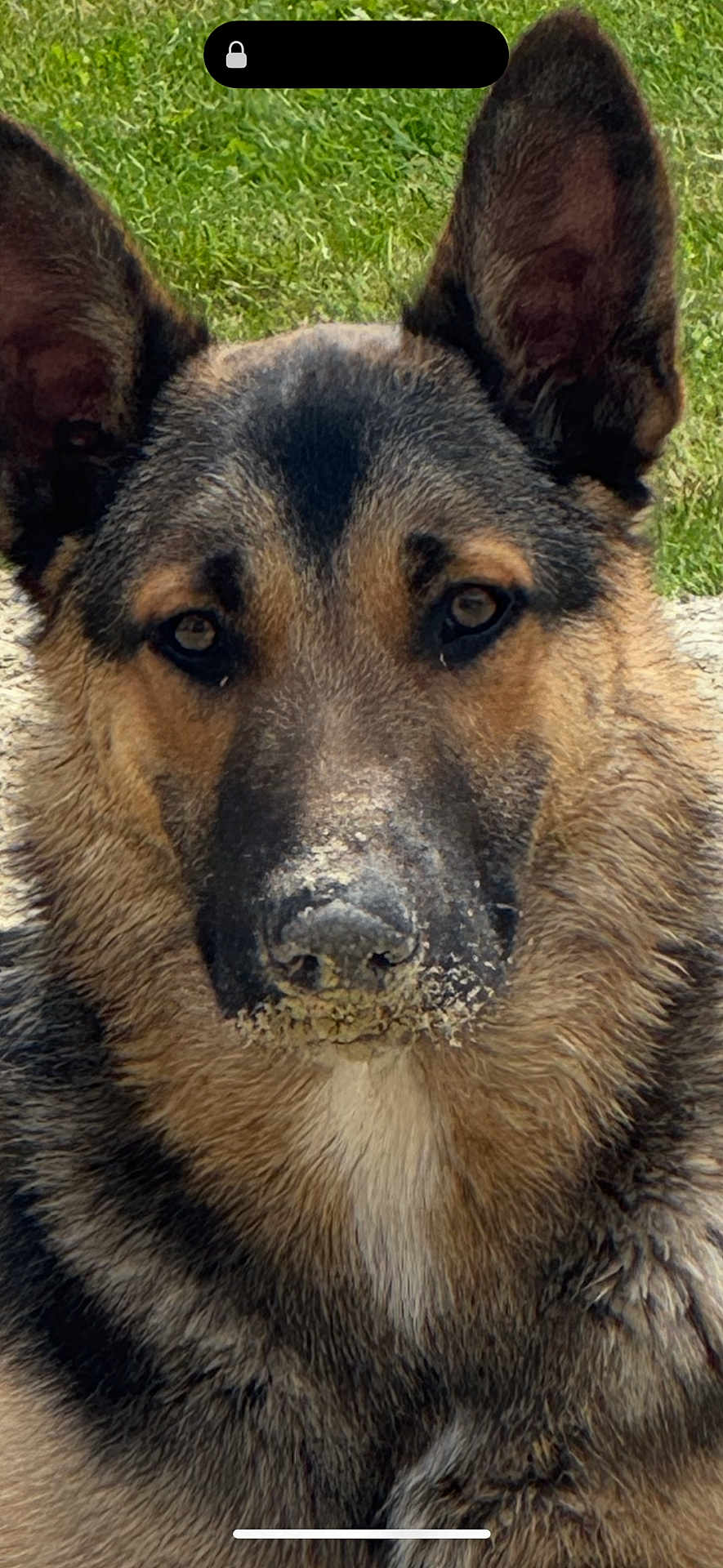 Saĩko