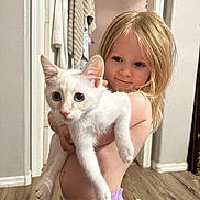 Krypto is registered to the contest to win money with this photo: child, kitten, white_cat, indoor, wooden_floor, towels, doorway, curly_hair, bare_chest, purple_diaper, smiling, holding, pets, cute, young_child, curious, home, shoes, floor, portrait