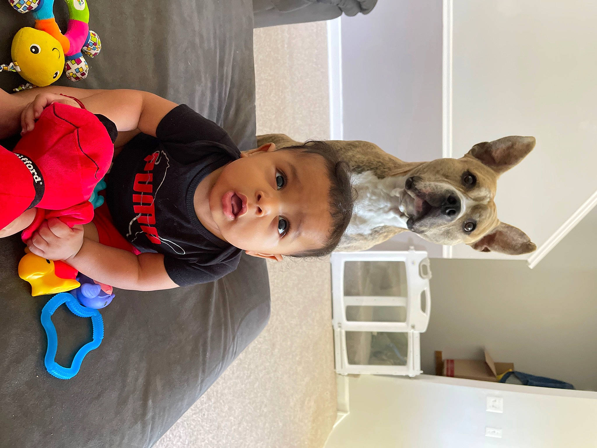 Luca joined the competition — help win amazing prizes! baby, baby_playing_with_toys, baby_products, baby_toddler_clothing, carnivore, child, dog, dog_breed, felidae, fun, happy, hat, leisure, party_supply, person, recreation, room, smile, surprise, t_shirt
