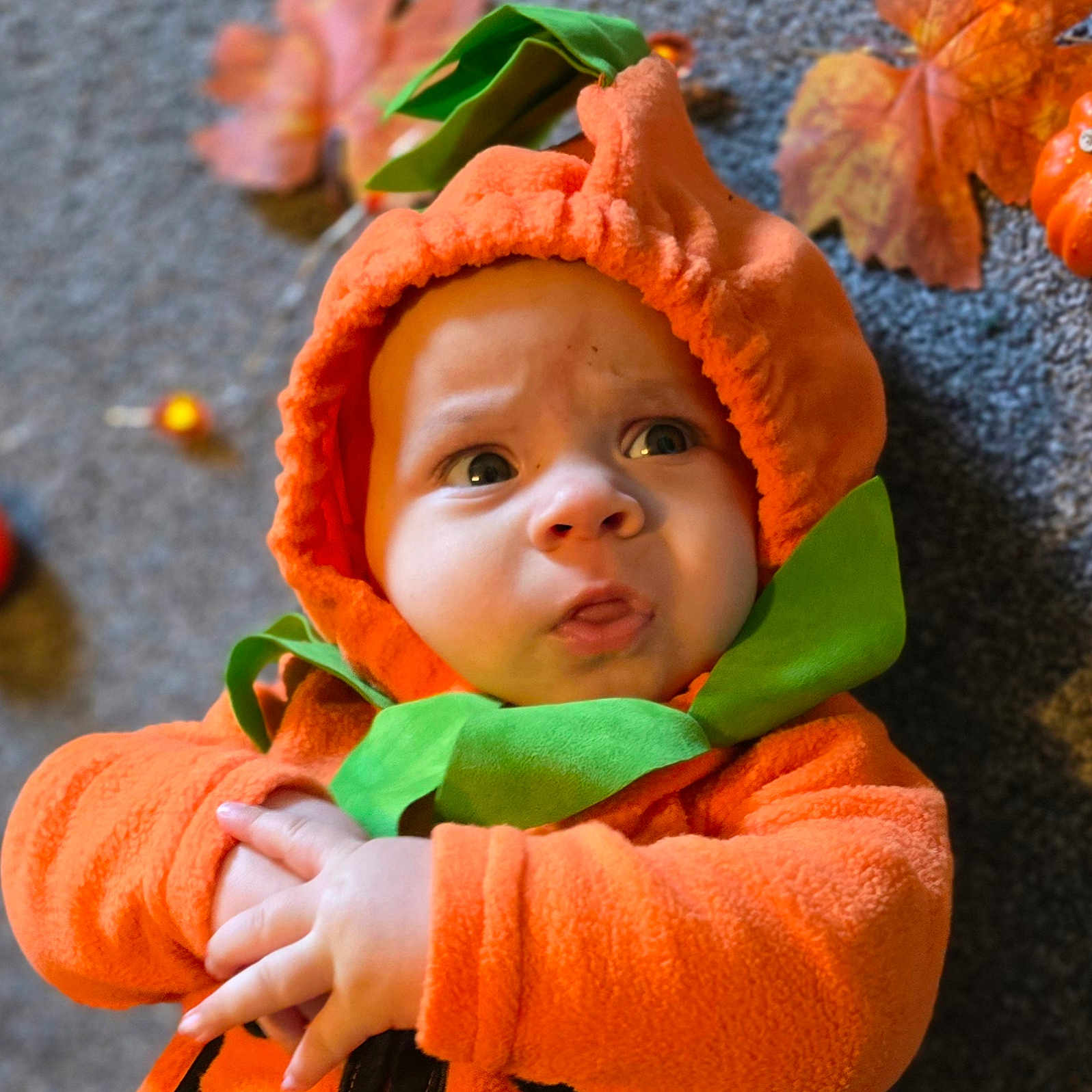 Fergus joined the competition — help win amazing prizes! baby, bodypart, bonnet, cap, clothing, coat, face, finger, hand, hat, head, hood, jacket, knitwear, leaf, person, photography, plant, portrait, sweater