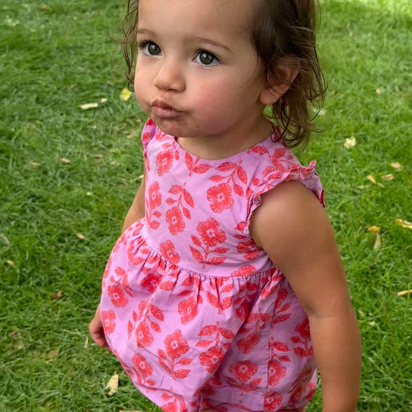 Julieta is registered to the contest to win money with this photo: barefoot, child, curious, cute, daylight, expression, floral_pattern, girl, grass, nature, outdoor, person, pink_dress, playful, portrait, pout, short_hair, summer, toddler, young_child