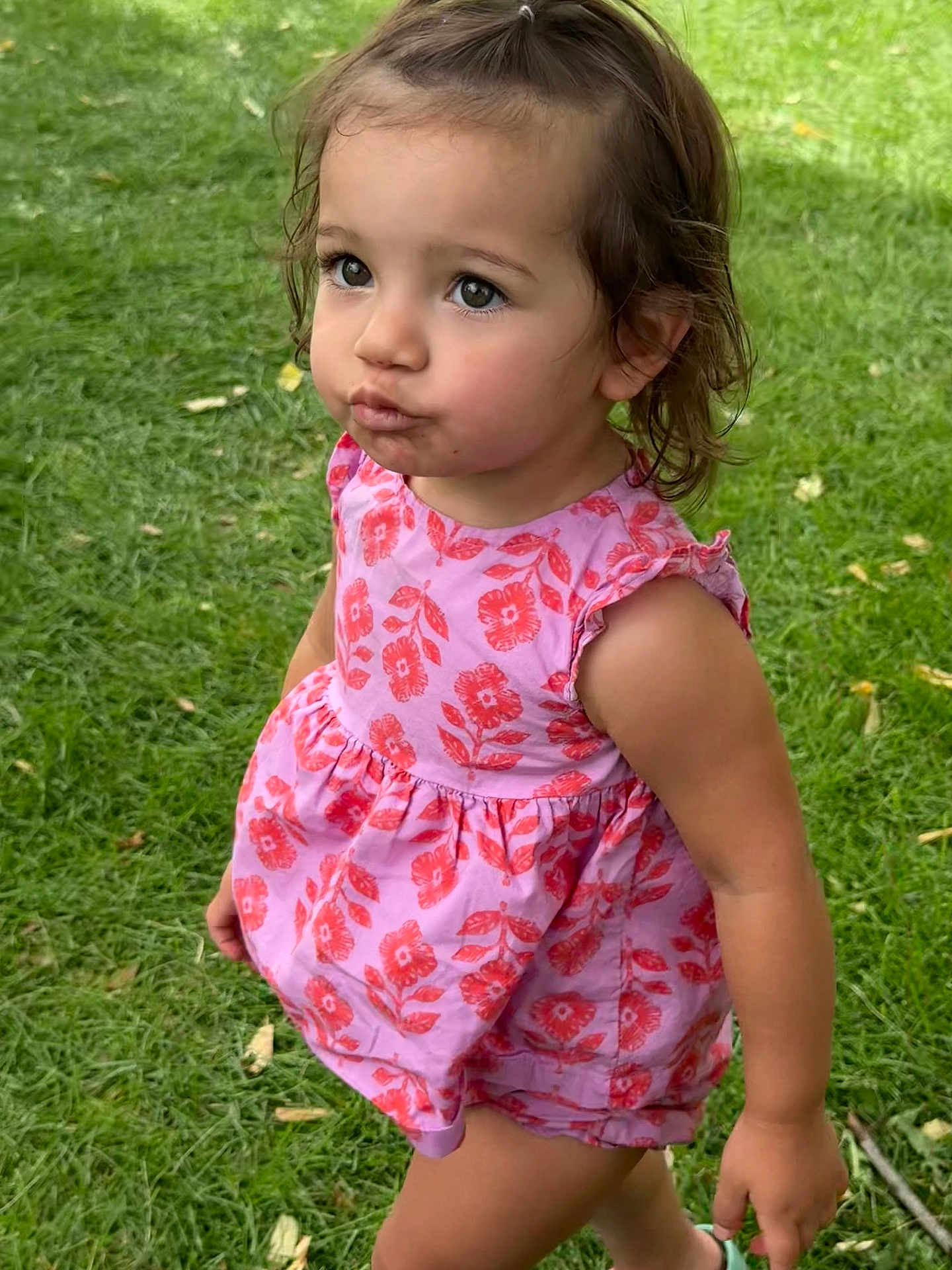 Julieta is registered to the contest to win money with this photo: toddler, child, girl, pink_dress, floral_pattern, grass, outdoor, cute, pout, curious, portrait, summer, nature, playful, young_child, person, barefoot, daylight, expression, short_hair