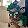 animal, bed, blanket, cat, clothing, costume, cozy, cute, domestic_animal, frog_costume, green_hoodie, hand, indoor, kitten, mammal, person, pet, sleepy, soft_light, window