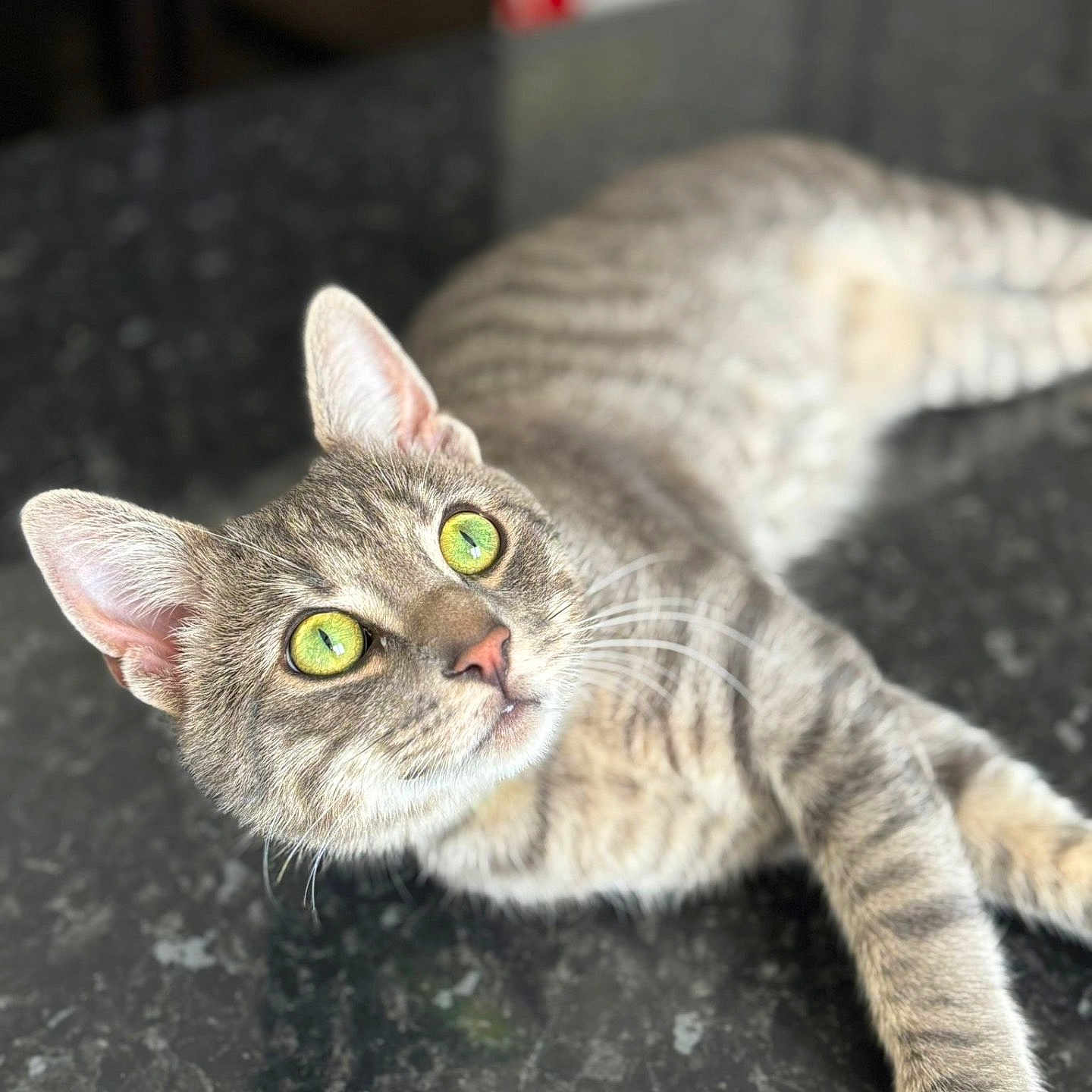 Rico