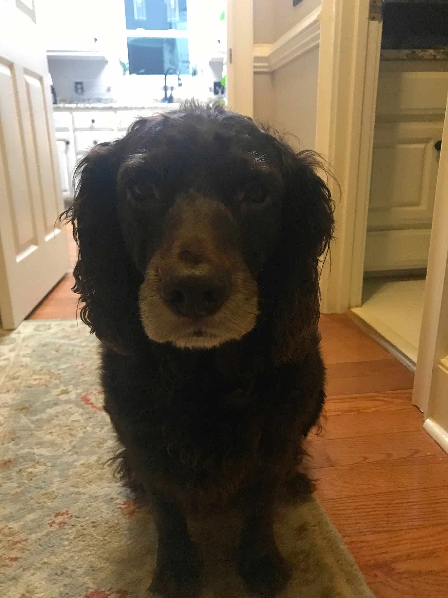 Max