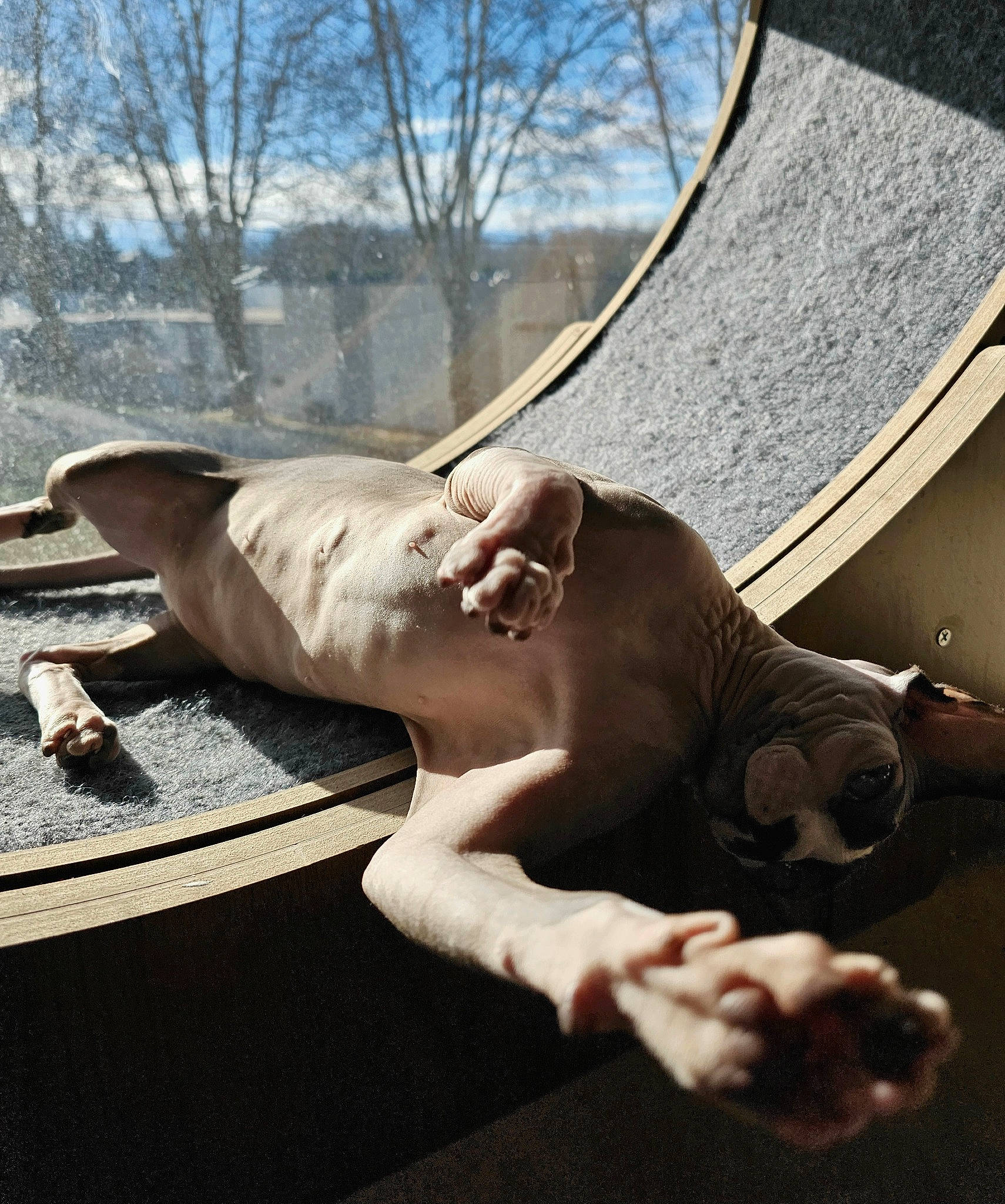 Savannah participe au concours pour gagner de l'argent avec cette photo : abdomen, art, barechested, barefoot, chest, elbow, fawn, finger, foot, gesture, human_leg, knee, leisure, monument, sculpture, sky, statue, tree, trunk, wood