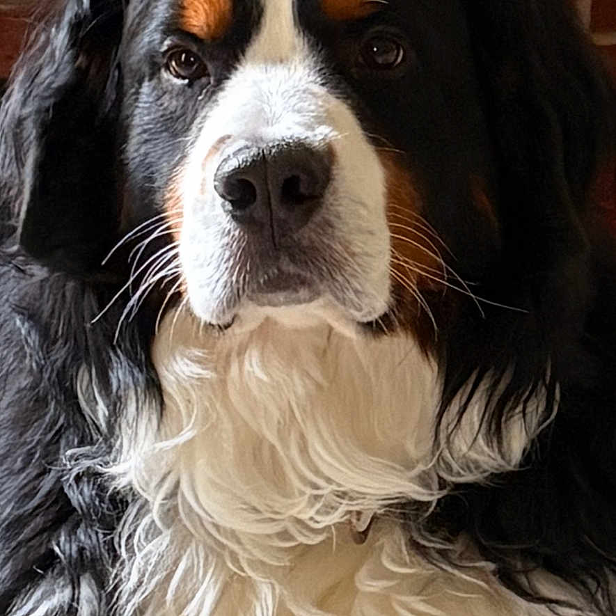 Charlie
