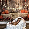 baby, infant, child, portrait, costume, bee_costume, hat, blanket, wrapped, lying_down, autumn, pumpkins, hay_bale, fairy_lights, rustic, wooden_background, fall_leaves, indoor, cozy, photography