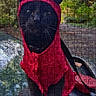 cat, black_cat, red_hoodie, jigsaw_puzzle, puzzle_pieces, outdoor, greenery, blurred_background, mobile_screen, website_interface, text_overlay, banner, advertisement, animal, pet, hoodie, costume, close_up, photograph, product_image