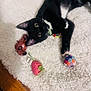 black_cat, cat, collar, colorful_ball, cute, domestic_animal, feline, fluffy_rug, indoor, kitten, looking_up, paws, pet, playful, relaxed, strawberry_toy, toy_car, whiskers, white_rug, wooden_floor