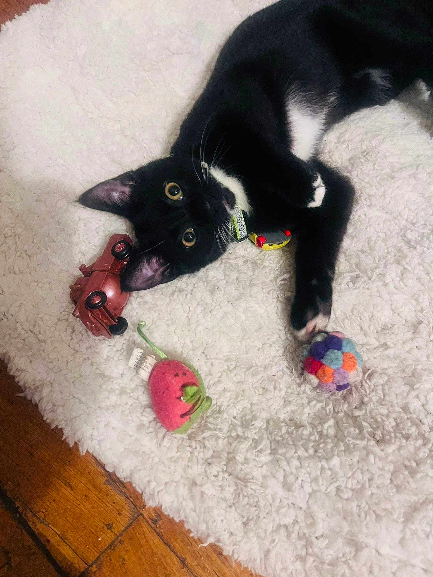 Panchito