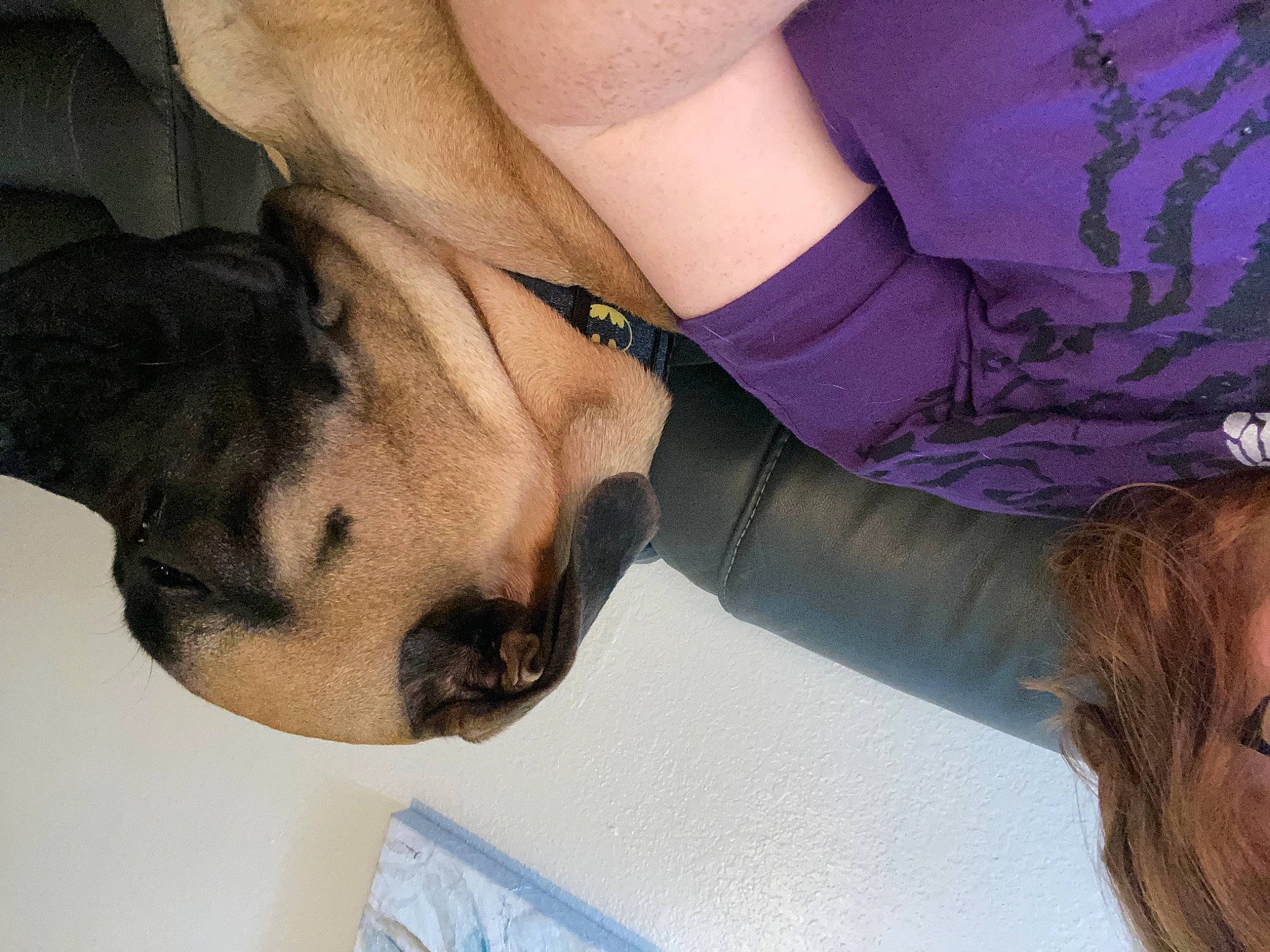 Rubie joined the competition — help win amazing prizes! bracelet, carnivore, dog, dog_breed, glove, hair_coloring, human, love, safety_glove, snout, sporting_group, working_animal, working_dog, wrist