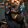 baseball_cap, black_clothing, black_dog, blue_bow, colorful_blanket, curtain, dog, french_bulldog, household, hugging, indoor, man, person, pet, photography, portrait, shelves, short_snout, standing, wrinkled_face
