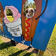 Murphy joined the competition — help win amazing prizes! dog, hot_dog_cutout, cartoon, painting, outdoor, grass, park, sunny, person, legs, shoes, blue_sky, tree, shadow, playful, cute, animal, fun, face_cutout, summer