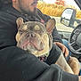 man, dog, french_bulldog, car, window, autumn, black_hoodie, seat, side_mirror, beard, pet, animal, road, scenery, collar, jacket, relaxed, portrait, hand, indoor