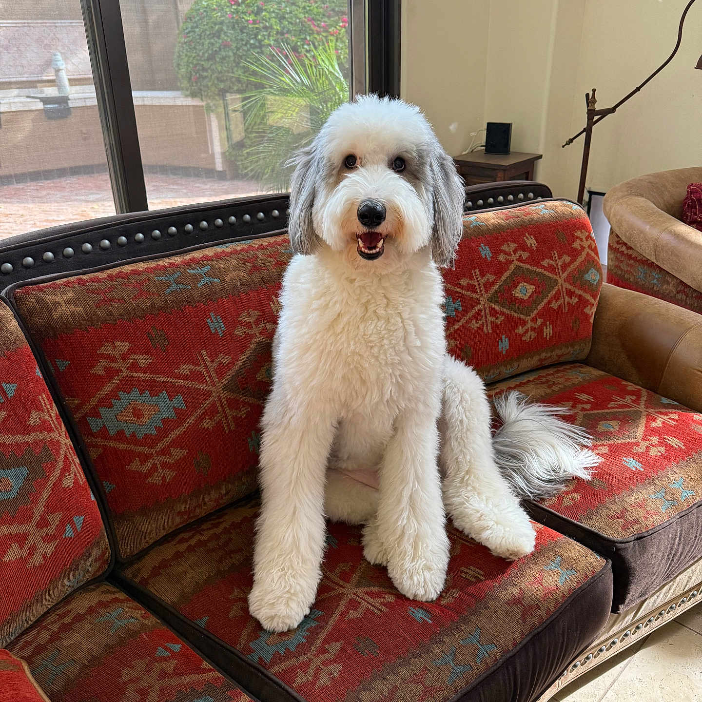 Archie