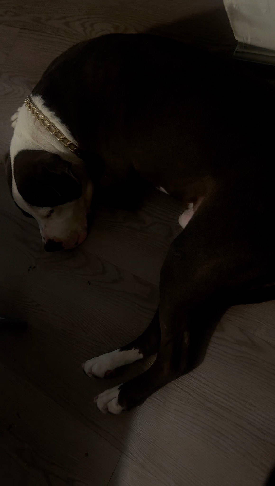 Rockko joined the competition — help win amazing prizes! art, automotive_design, chest, elbow, finger, flooring, foot, gesture, grey, human_body, human_leg, jaw, knee, neck, snout, thigh, tints_and_shades, trunk, wood, wrist