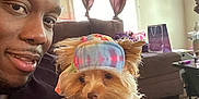 Ms Minnie is registered to the contest to win money with this photo: man, dog, pet, indoor, living_room, couch, curtains, tie_dye, hat, cute, small_dog, portrait, smiling, casual, furniture, carpet, human, colorful, window, relaxing