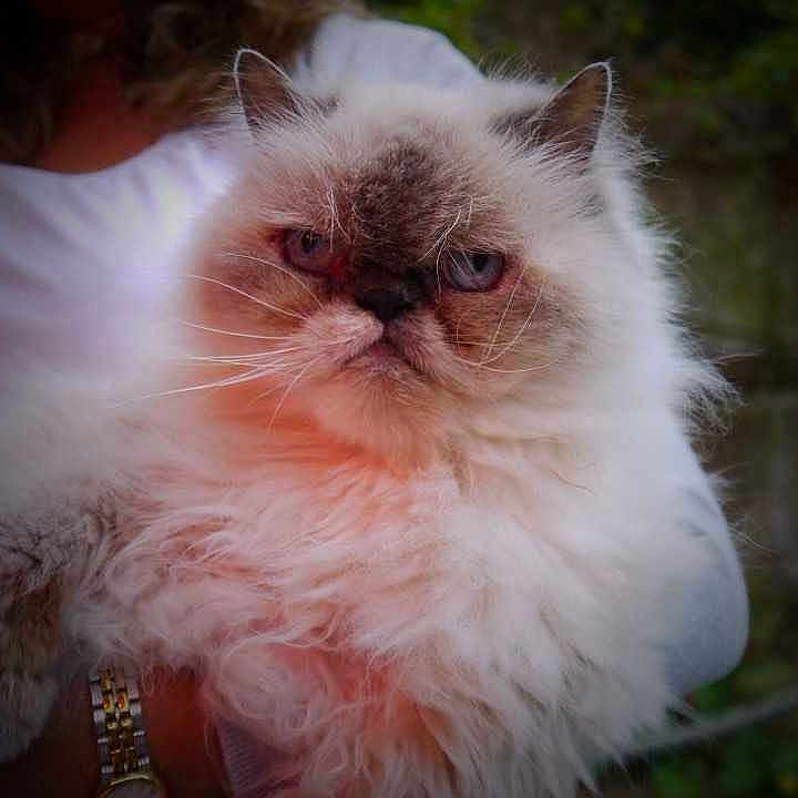 Sapphire is registered to the contest to win money with this photo: