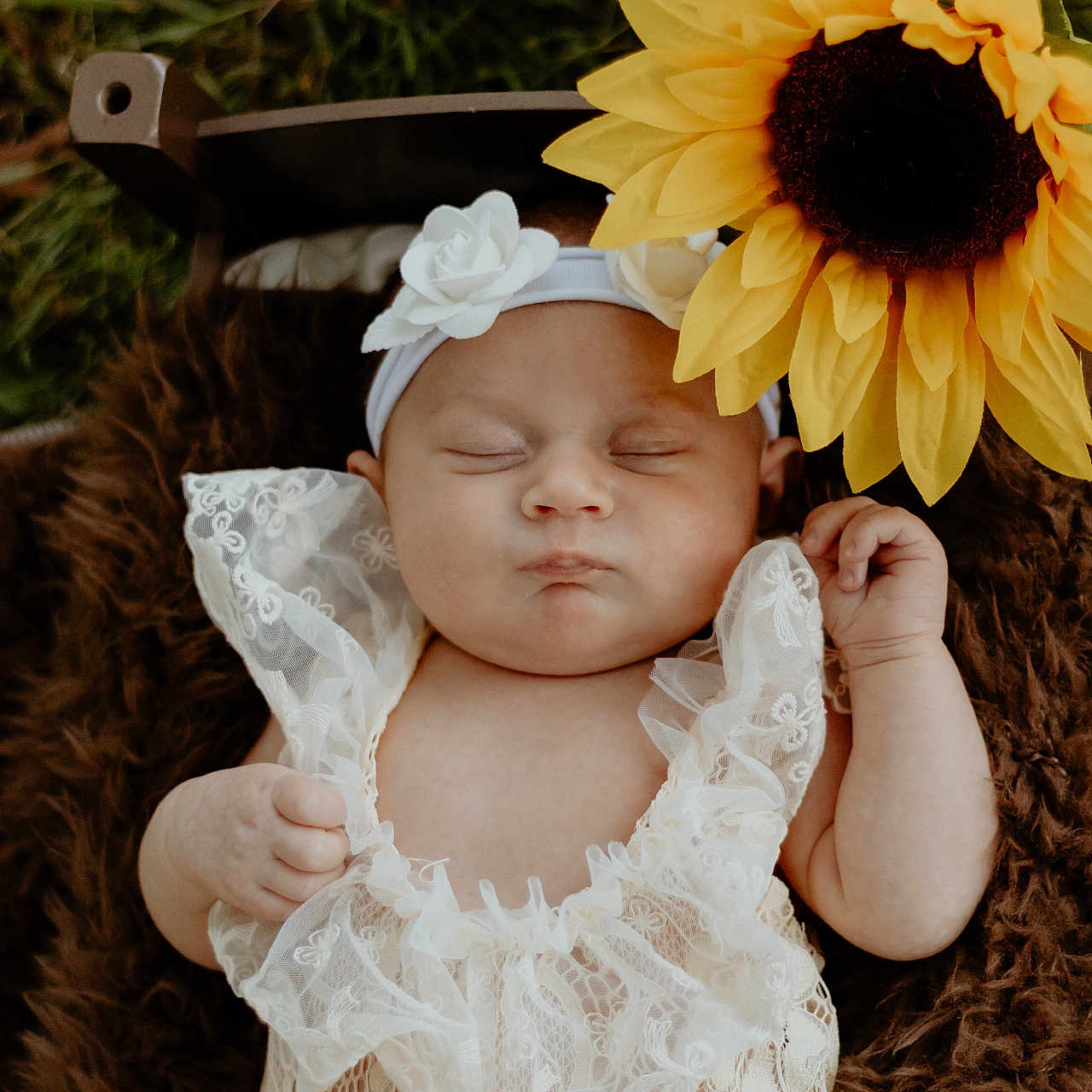 Lakelynn joined the competition — help win amazing prizes! baby, sleeping, lace, flower, sunflower, headband, outdoor, nature, grass, blanket, portrait, cute, infant, peaceful, resting, soft_texture, flower_decoration, child, calm, closeup