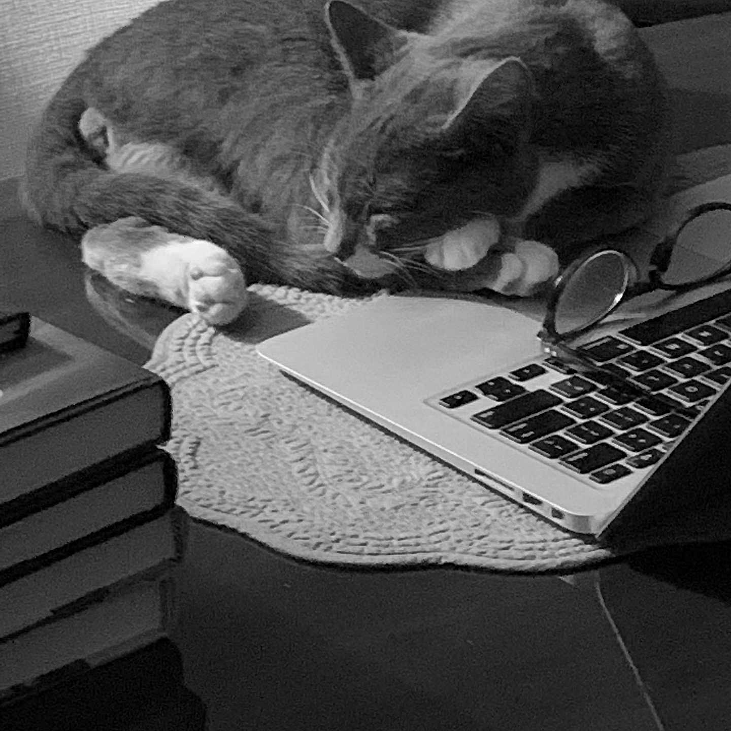Simon joined the competition — help win amazing prizes! cat, sleeping, laptop, glasses, books, table, cozy, indoor, resting, quiet, black_and_white, fur, whiskers, paws, curled_up, technology, study, reading, peaceful, still_life