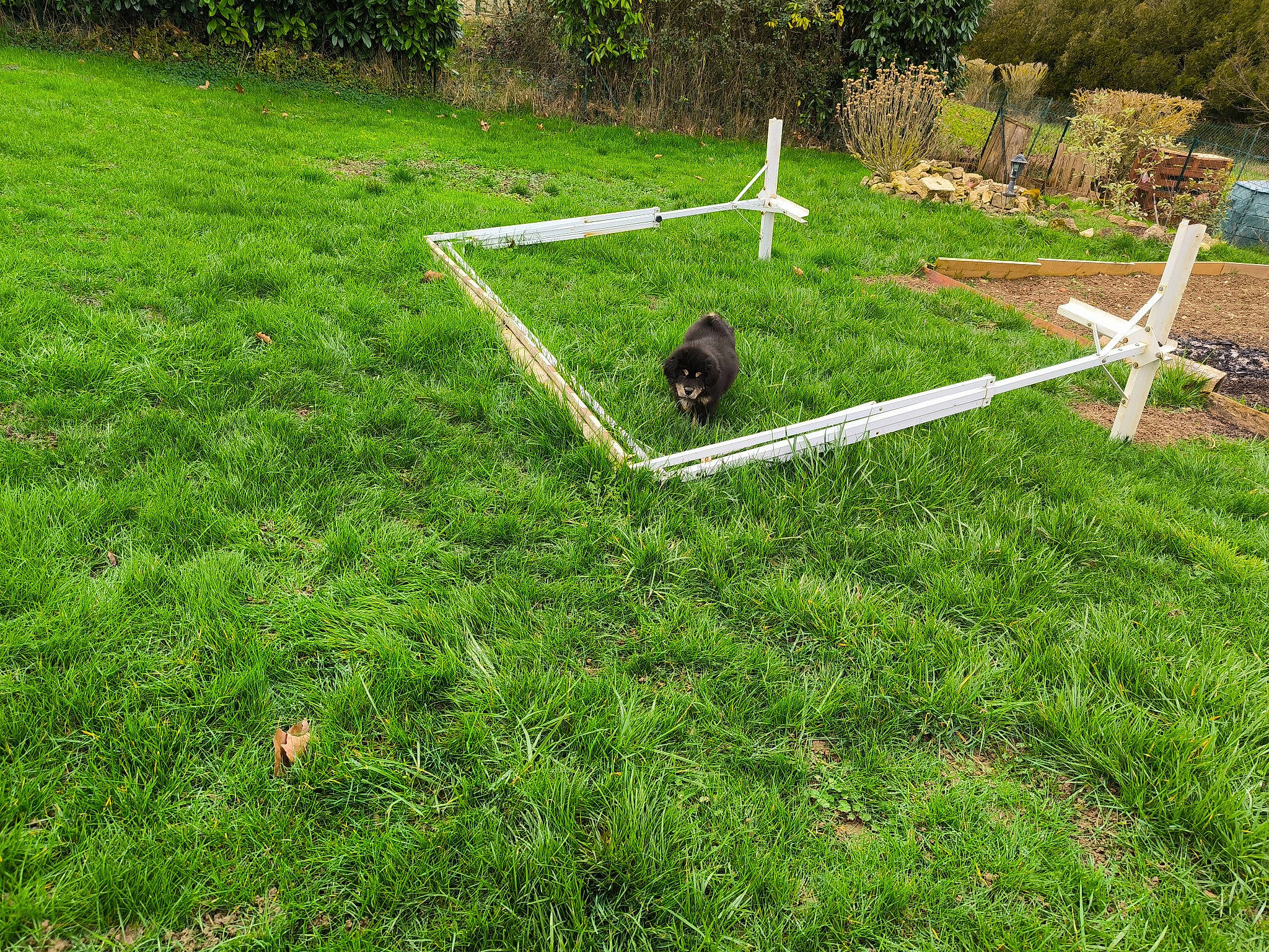 U-shï participe au concours pour gagner de l'argent avec cette photo : cross, field, grass, grass_family, grassland, groundcover, hinterland, landscape, lawn, meadow, pasture, people_in_nature, plant, prairie, shrub, slope, soil, symbol, tree, yard